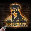 Custom-Baby-Boxer-Metal-Wall-Art-LED-Light_6